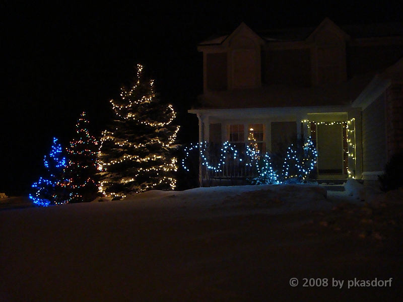 018 A2 Snowfall & Trees [2008 Dec 20].JPG - Our Christmas Trees for 2008.